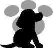 (à adopter) Trouvé chienne blanche taches noires. VOLX (04) 18/05/2013 375844
