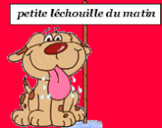 Perdu HOOPER chien mâle bouvier suisse MISON (04) 01/04/2012 38511